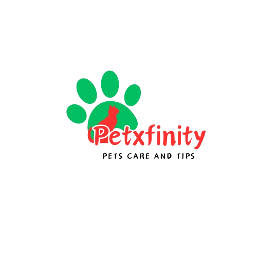 logo-removebg-preview