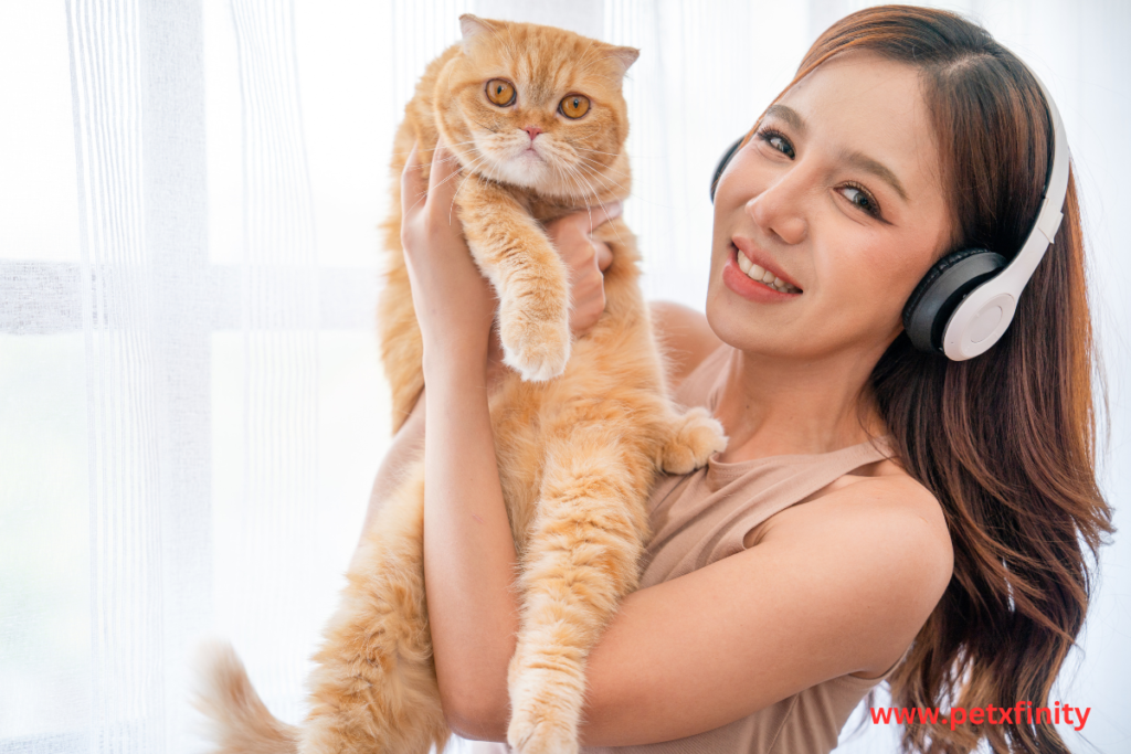 Cats Lover